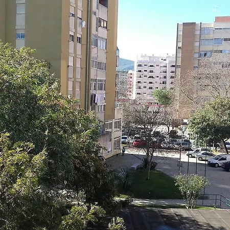 Saladina * Setúbal