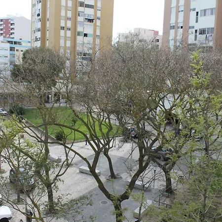 Saladina * Setúbal